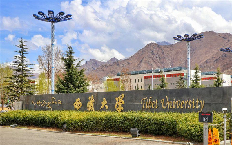 浙江哪些大学有艺术教育专业_2024年更新