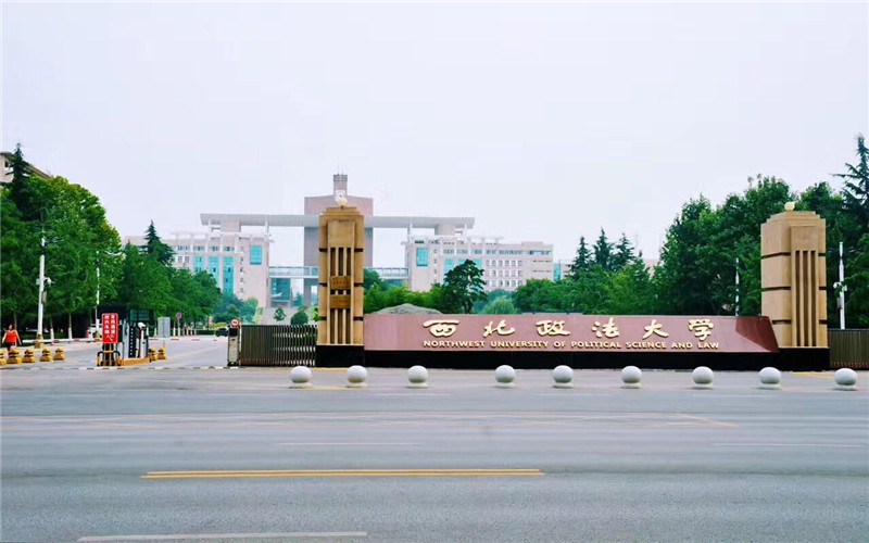 2025年浙江315分能报什么大学