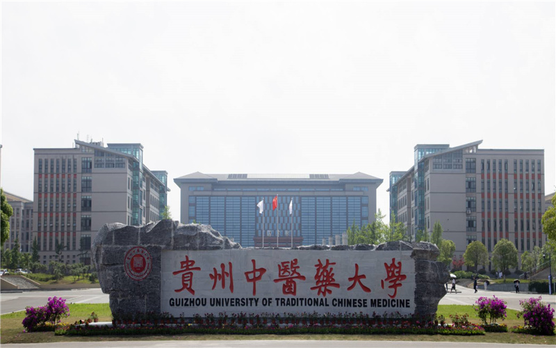 2025年山西517分能报什么大学