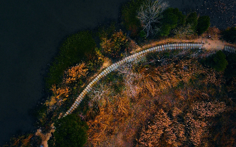 江汉大学-江汉大学三角湖绿道一景