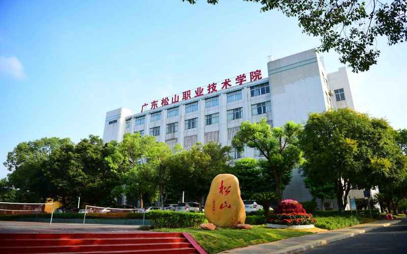 2025年陕西文科302分能报什么大学