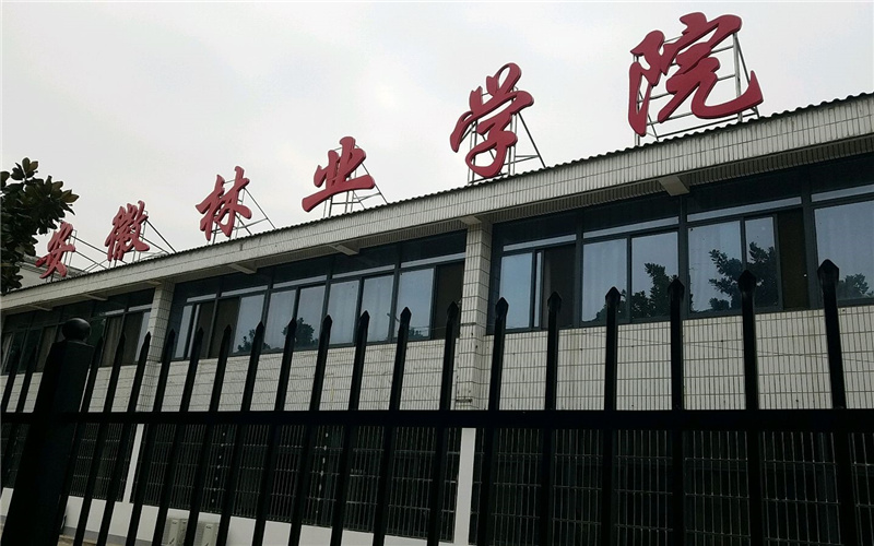 2024年上海政法学院在天津最低录取分数线：617分