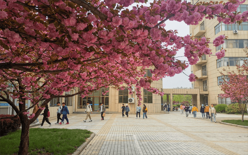 济宁学院-繁花似锦