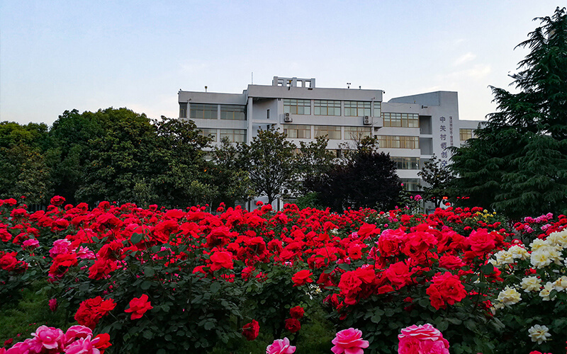 南阳理工学院-花团锦簇