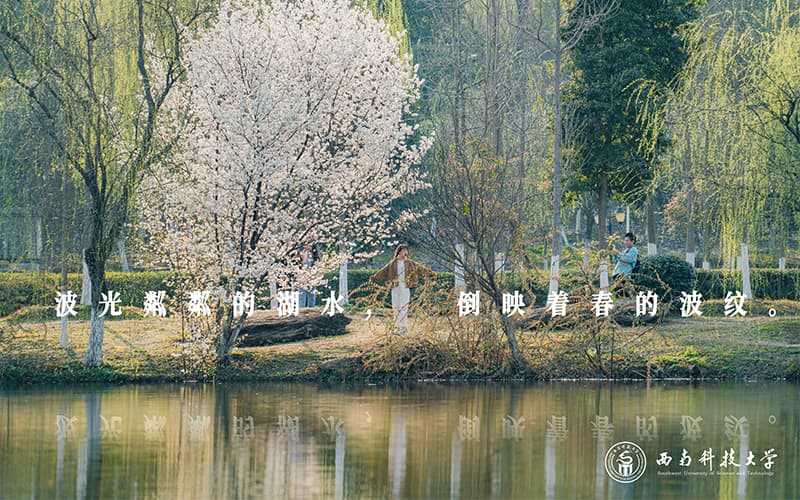 西南科技大学-14