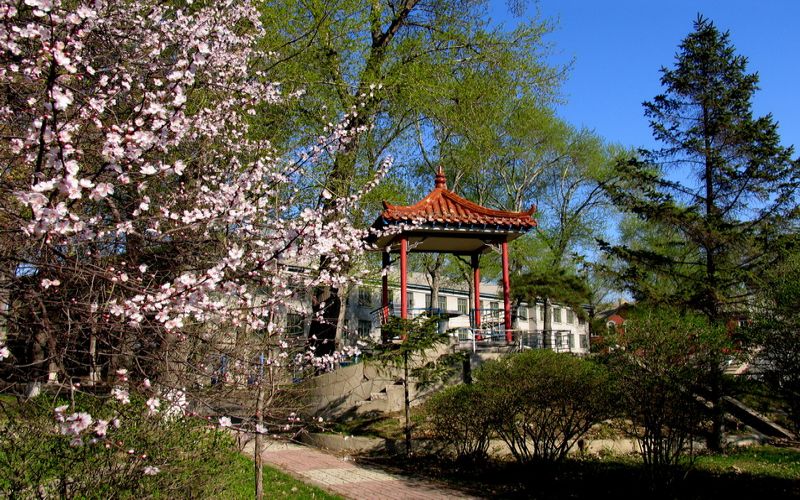 沈阳航空职业技术学院校园风景