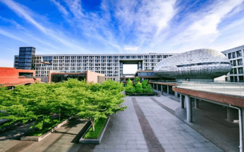 浙江大学医学院-1