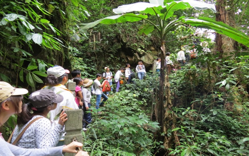 保山中医药高等专科学校校园风景