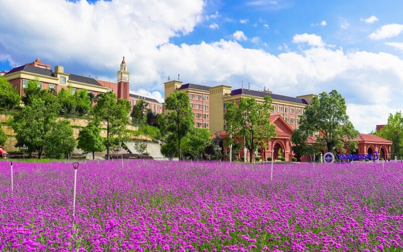 贵州工商职业学院-薰衣草花海