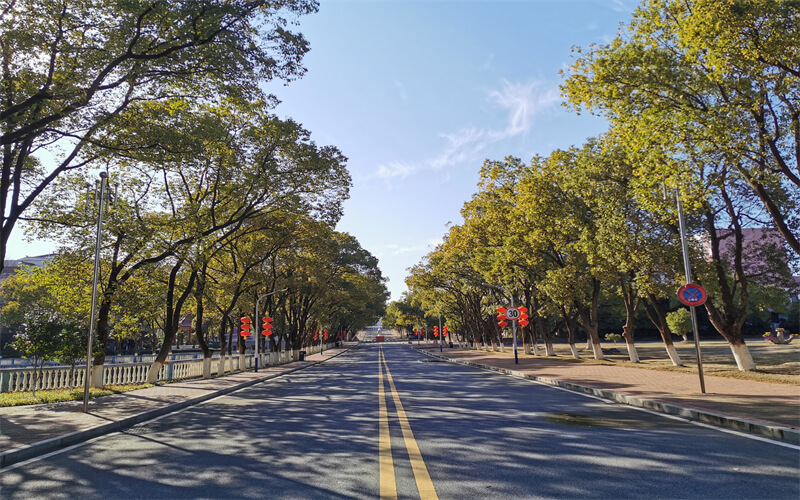 江西电力职业技术学院-主干道2