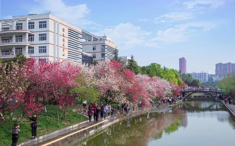 三峡大学各专业在福建录取分数线_2025年更新主图