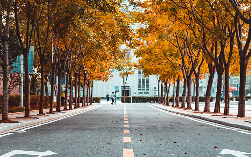 武汉工商学院-秋季校园