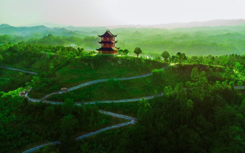 重庆中医药学院-5