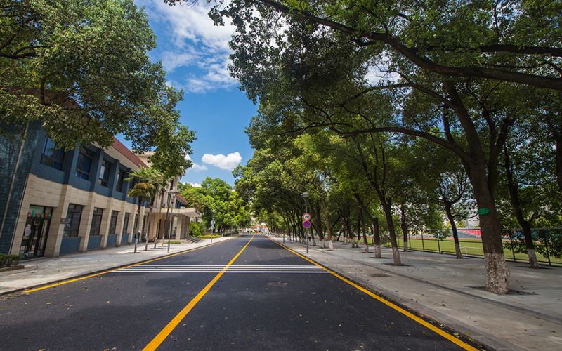 重庆三峡职业学院- 12