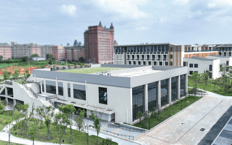 2025年四川文科559分能报什么大学