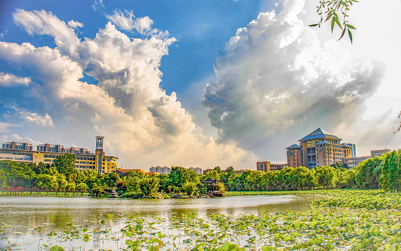 武汉科技大学-20