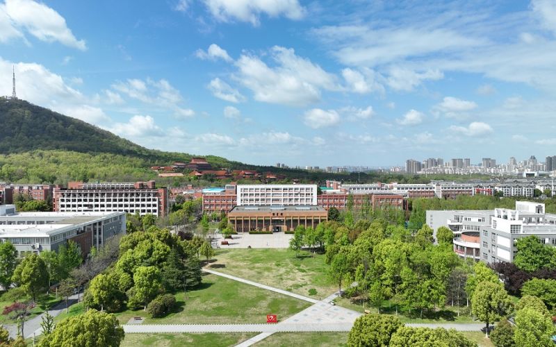 2025年宁夏286分能报什么大学