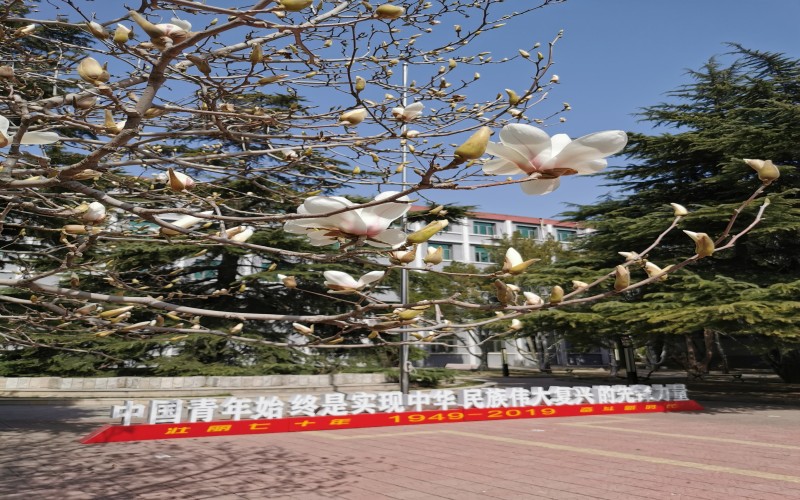 北京卫生职业学院-5