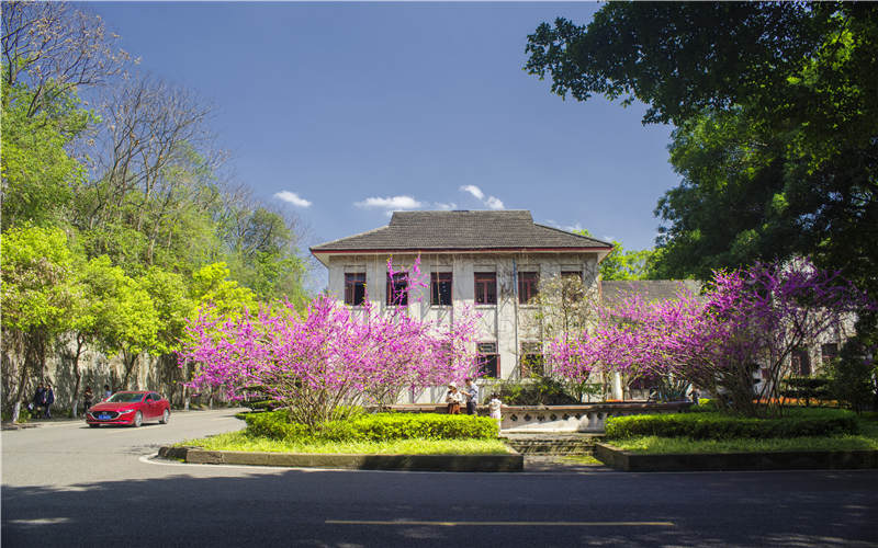 西南大学-校园风光