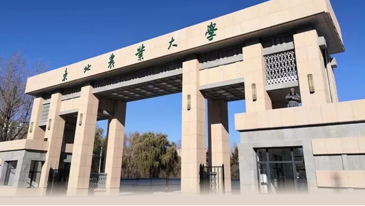 东北农业大学校园风光