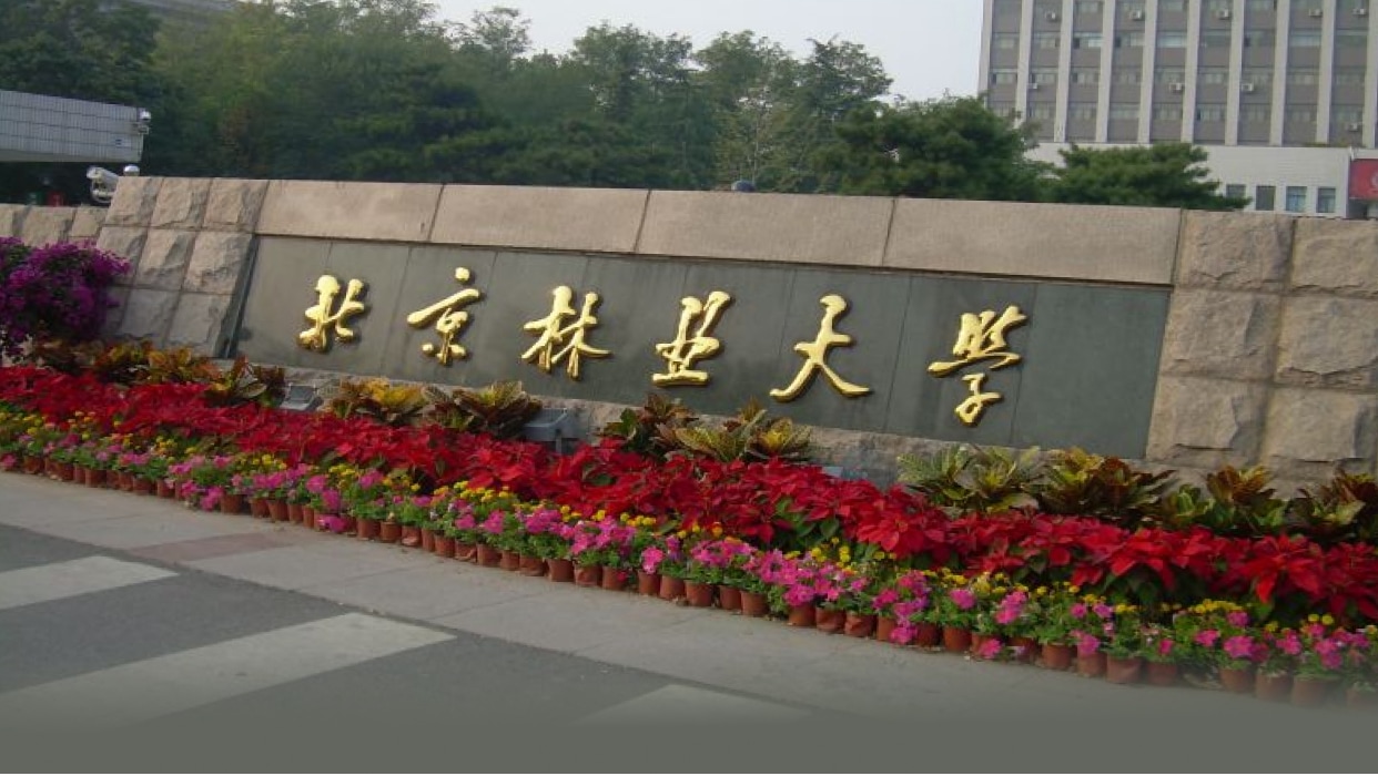 北京林业大学校园风光